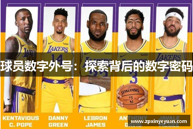 球员数字外号：探索背后的数字密码