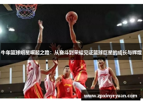 牛年篮球明星崛起之路：从奋斗到荣耀见证篮球巨星的成长与辉煌