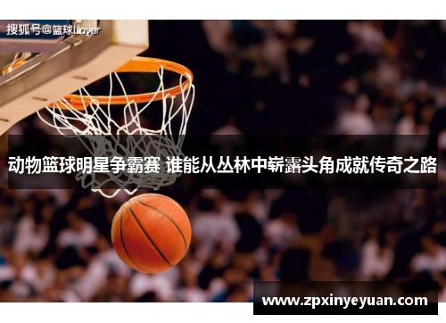 动物篮球明星争霸赛 谁能从丛林中崭露头角成就传奇之路