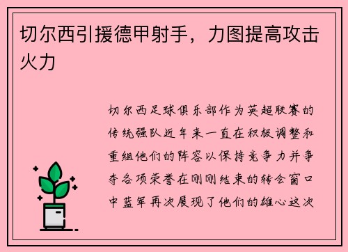 切尔西引援德甲射手，力图提高攻击火力